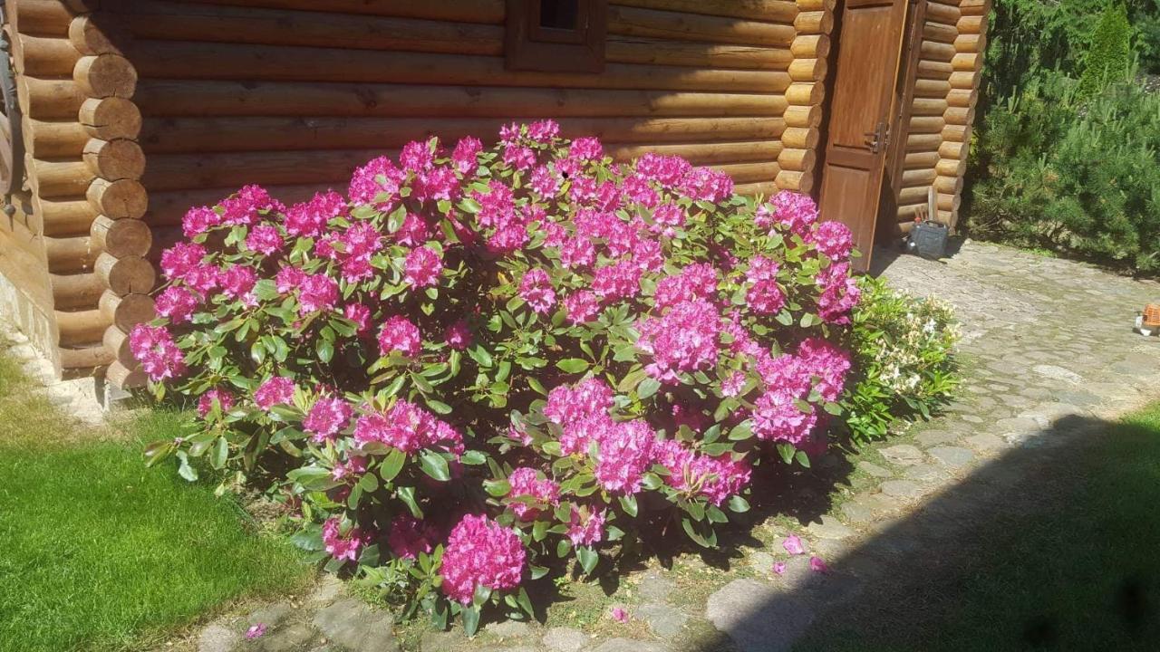 Hotel Sveciu Namelis Šiauliai Exterior foto